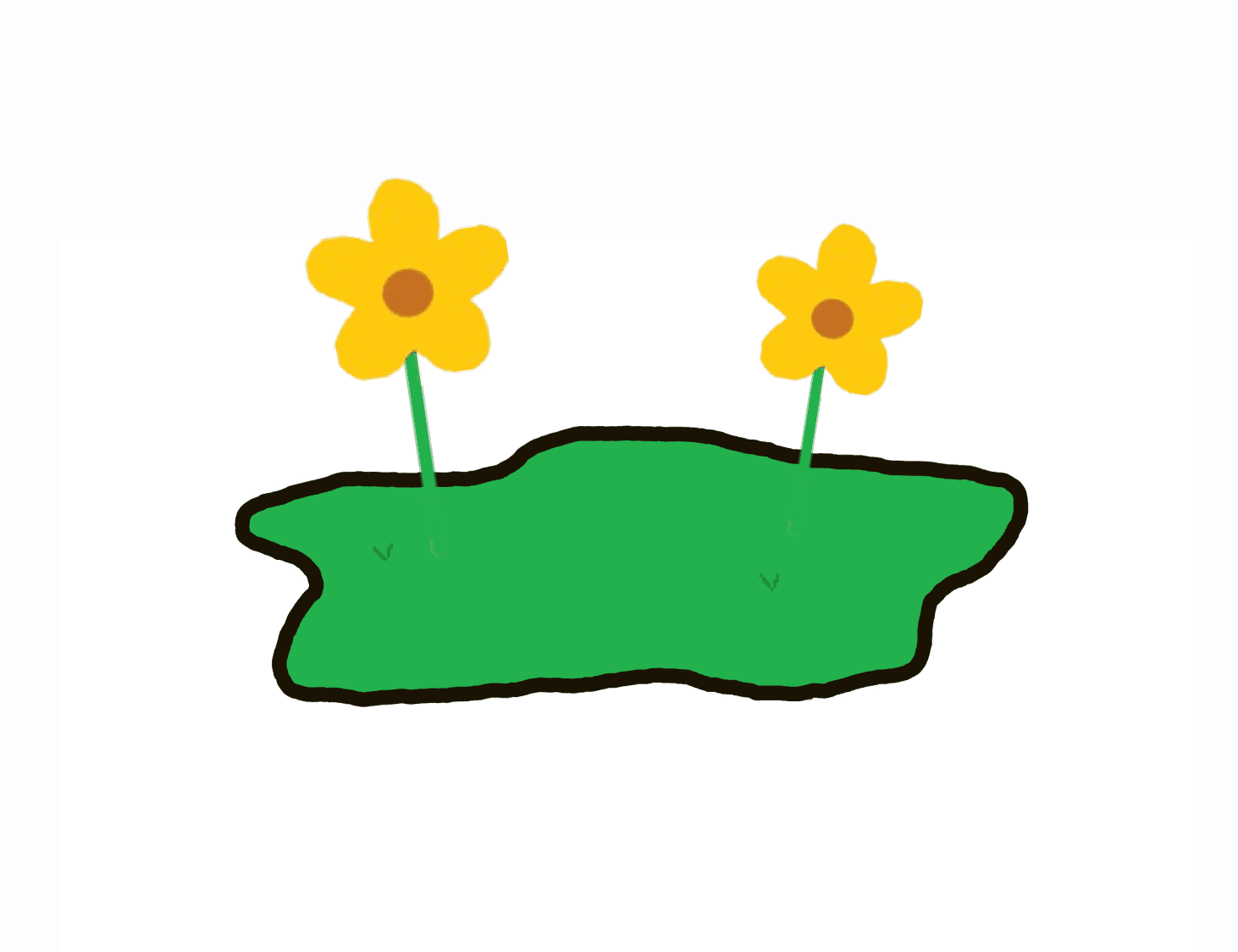 flowers